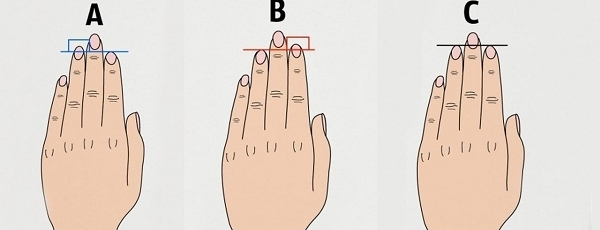 Что может сказать о человеке длина его пальцев? 3 фото-примера.