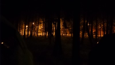 DSC_0398.JPG