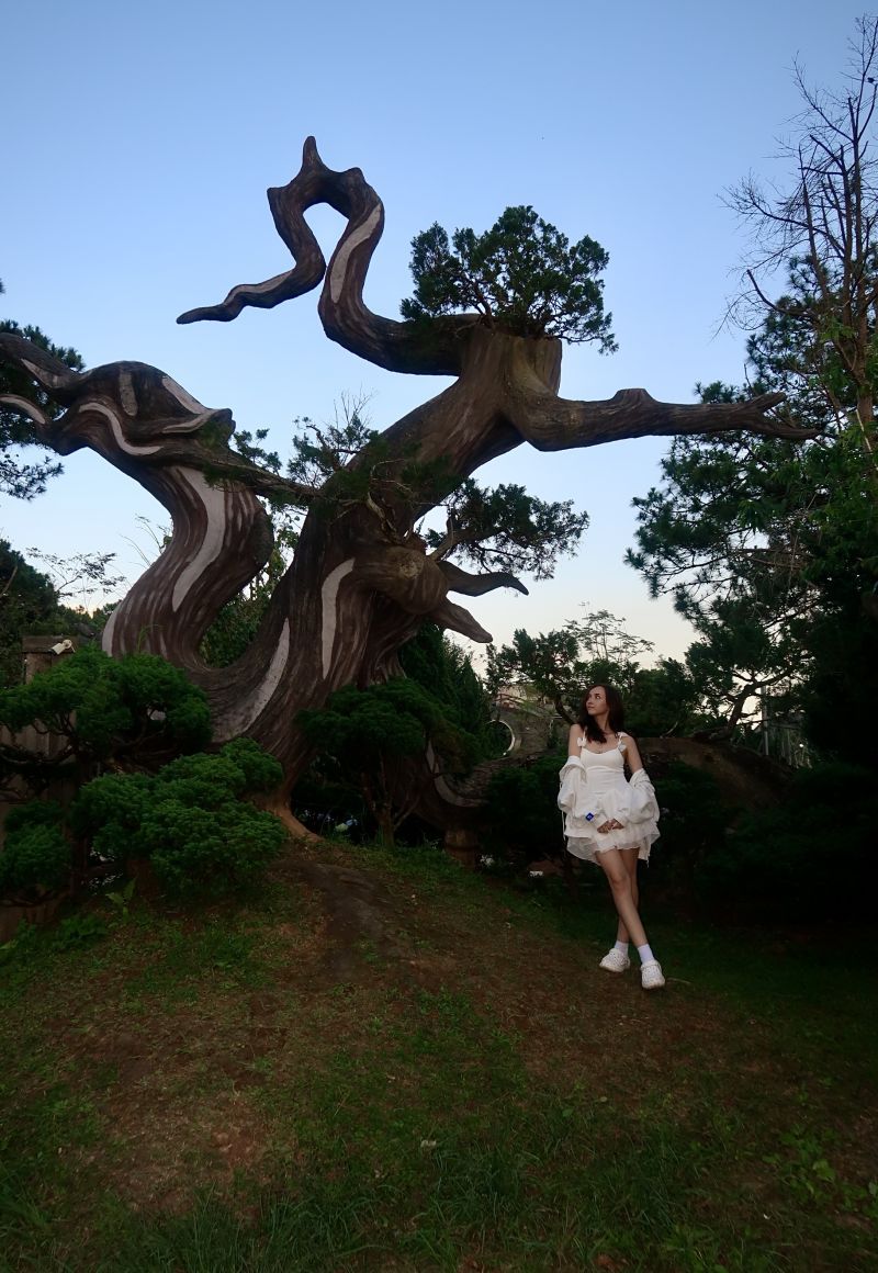 Фотография пользователя LilDLady 23803