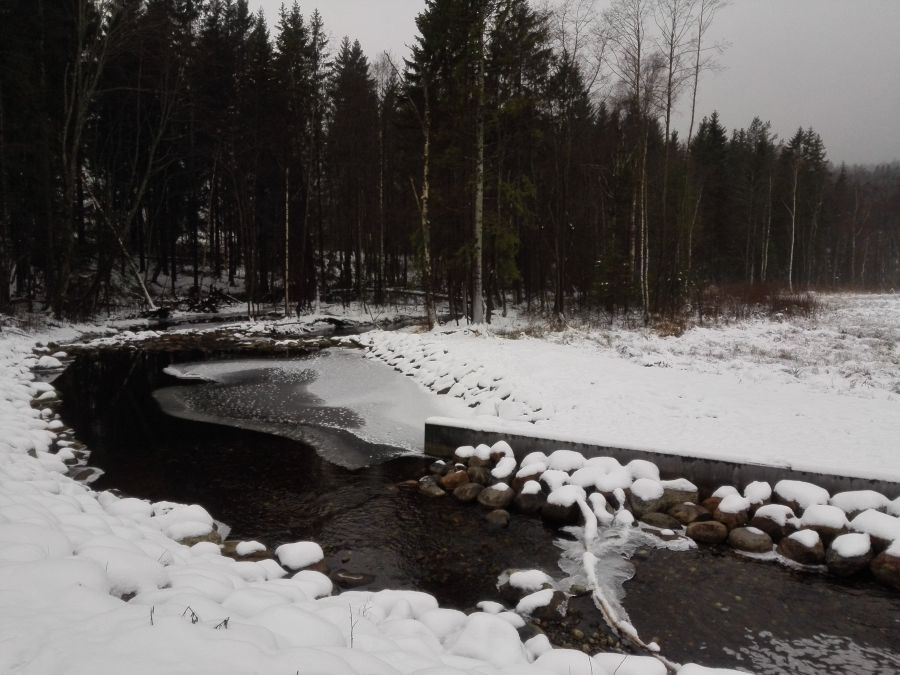 Фотография пользователя Linwe 957