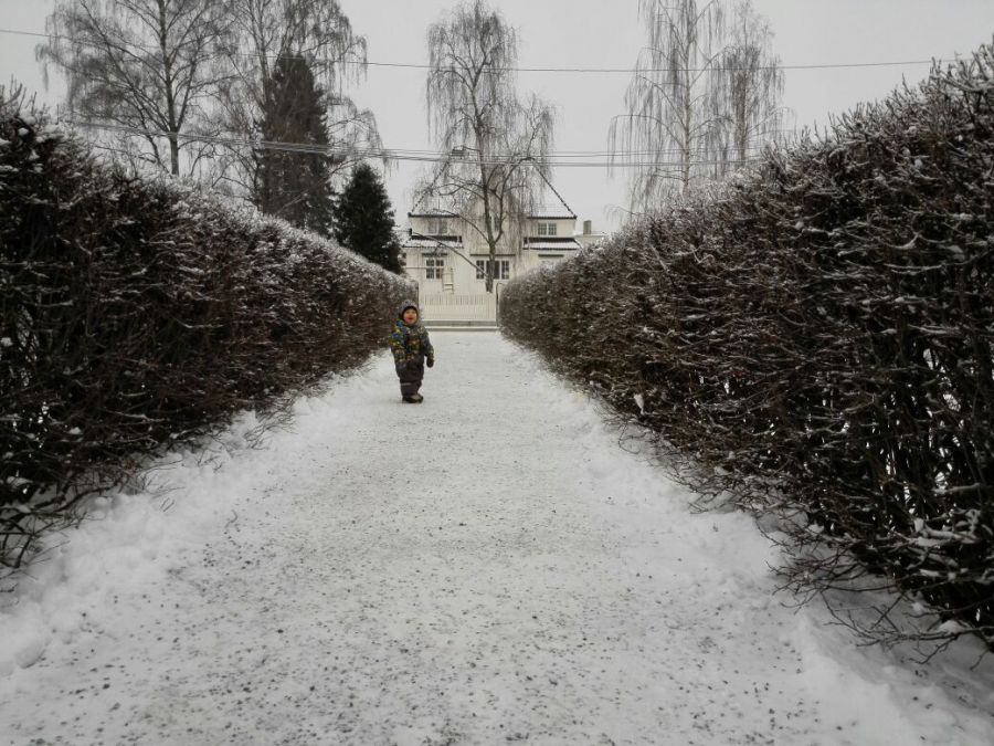 Фотография пользователя Linwe 976