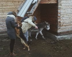 Фотография пользователя Radmila-Sadikova