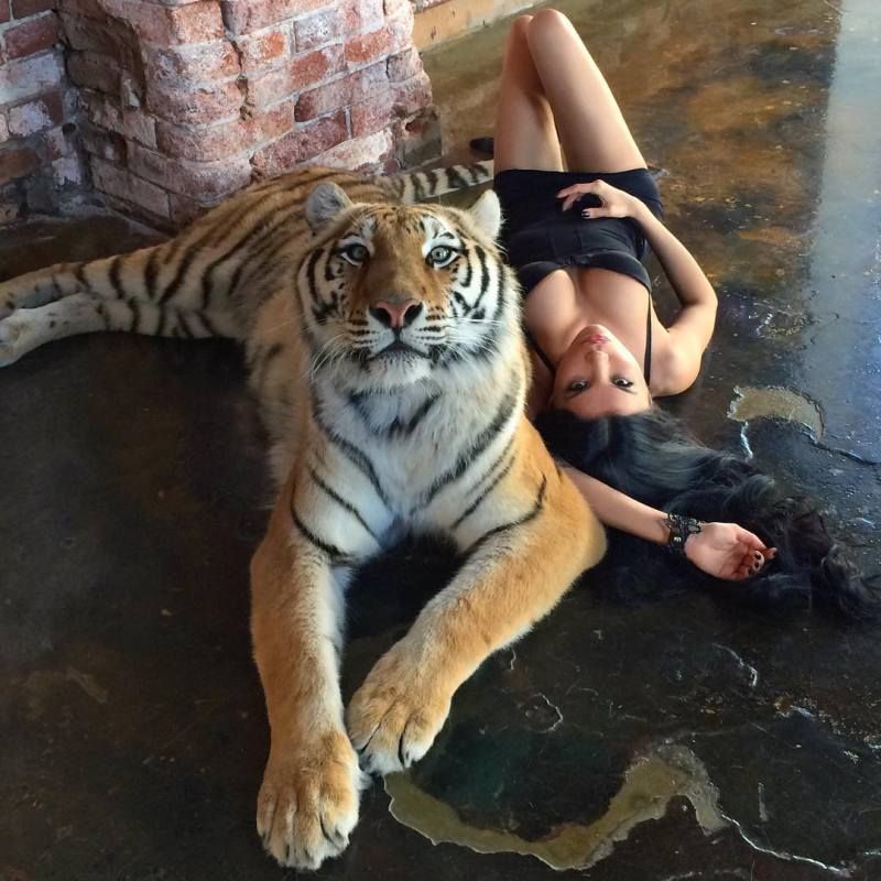 Фотография пользователя Sveta-Bilyalova 10343