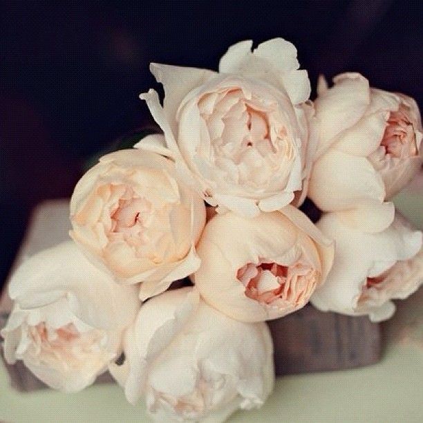 Фотография пользователя Tweety 2314