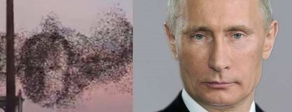 Американцы рассмотрели в стае птиц лицо Владимира Путина