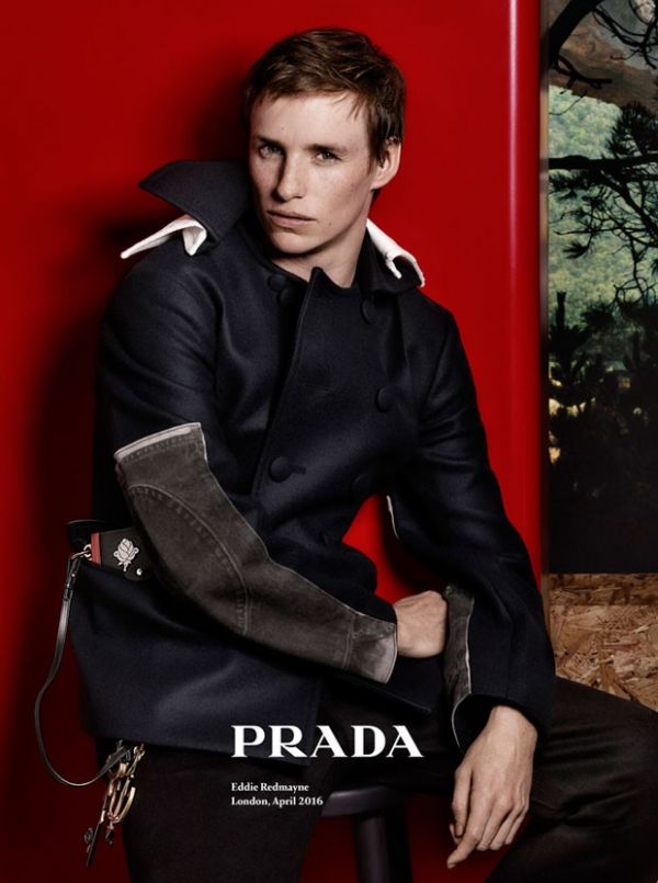 Эдди Рэдмейн стала новым лицом Prada Эдди Рэдмейн стала новым лицом Prada