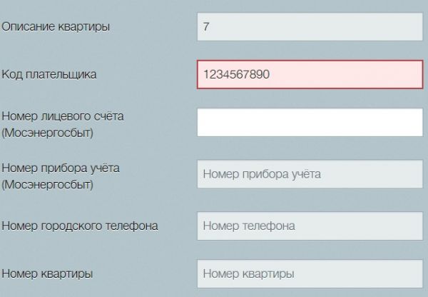 Что делать, если система pgu.mos.ru, при вводе показаний, пишет, что код плательщика в системе не найден