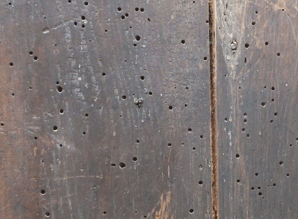 Как из-за засора канализации в моей квартире поселились жуки (Часть 2) Как из-за засора канализации в моей квартире поселились жуки (Часть 2)