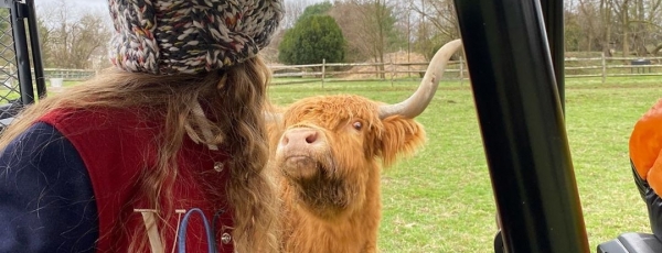Белла и Джиджи Хадид устроили фотосессию на ранчо с бычками
