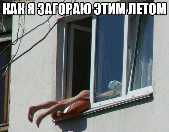 Мои любимые прикольные картинки Мои любимые прикольные картинки