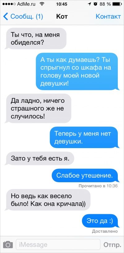 Ох уж эти котики: Что было бы, если ли бы коты писали смс Ох уж эти котики: Что было бы, если ли бы коты писали смс