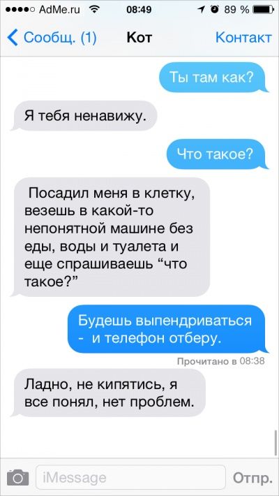 Ох уж эти котики: Что было бы, если ли бы коты писали смс Ох уж эти котики: Что было бы, если ли бы коты писали смс