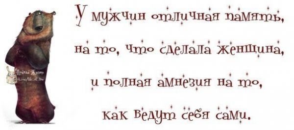 Мои любимые прикольные картинки Мои любимые прикольные картинки