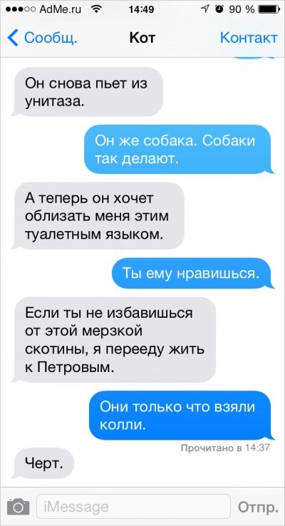Ох уж эти котики: Что было бы, если ли бы коты писали смс Ох уж эти котики: Что было бы, если ли бы коты писали смс