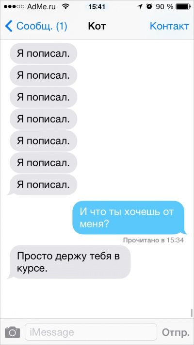 Ох уж эти котики: Что было бы, если ли бы коты писали смс Ох уж эти котики: Что было бы, если ли бы коты писали смс