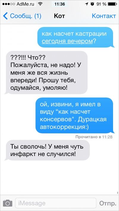 Ох уж эти котики: Что было бы, если ли бы коты писали смс Ох уж эти котики: Что было бы, если ли бы коты писали смс
