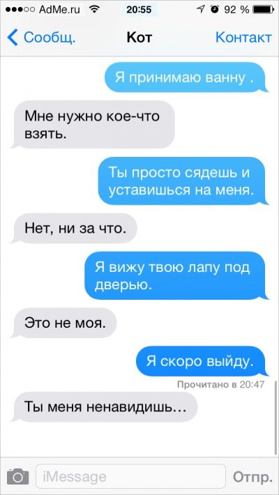 Ох уж эти котики: Что было бы, если ли бы коты писали смс Ох уж эти котики: Что было бы, если ли бы коты писали смс