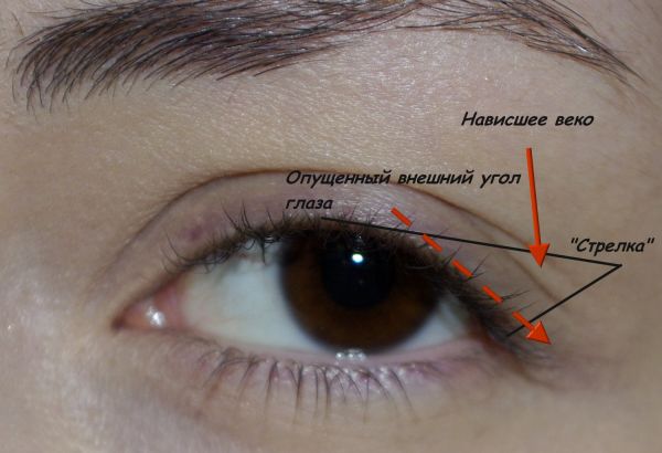 Макияж для нависшего века. Как правильно красить ресницы, брови, контур глаз и веко?