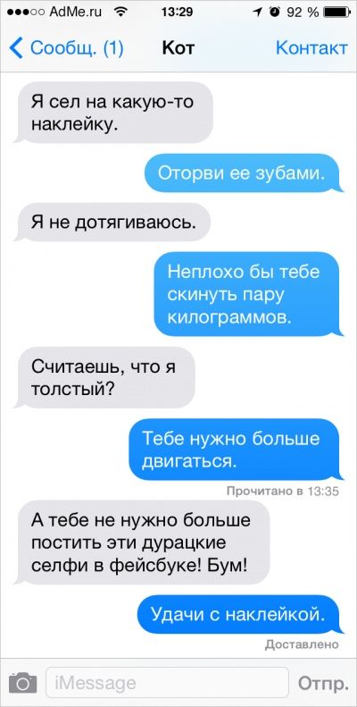 Ох уж эти котики: Что было бы, если ли бы коты писали смс Ох уж эти котики: Что было бы, если ли бы коты писали смс