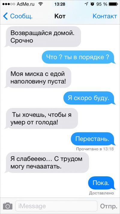 Ох уж эти котики: Что было бы, если ли бы коты писали смс Ох уж эти котики: Что было бы, если ли бы коты писали смс