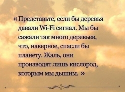 Фотография ленты Milana